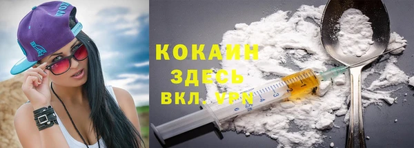 стаф Белокуриха