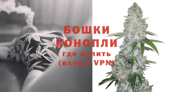 дурь Богородицк