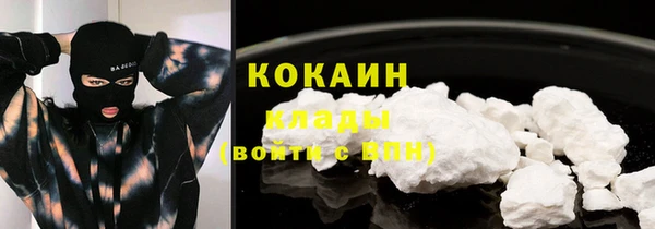 стаф Белокуриха