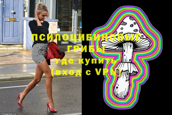 ГАЛЛЮЦИНОГЕННЫЕ ГРИБЫ Беломорск