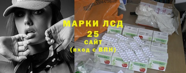 ГАЛЛЮЦИНОГЕННЫЕ ГРИБЫ Беломорск