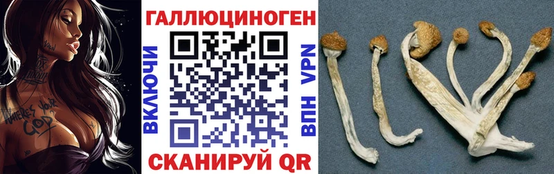 Псилоцибиновые грибы ЛСД  Вытегра 